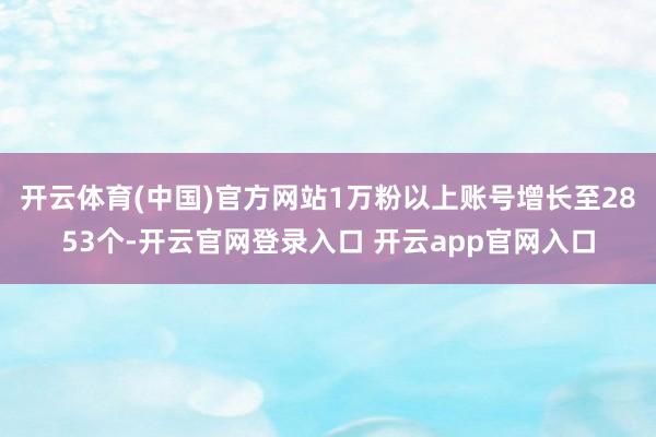 开云体育(中国)官方网站1万粉以上账号增长至2853个-开云官网登录入口 开云app官网入口
